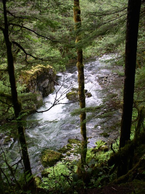 5.29.06 Siouxon Creek 011 